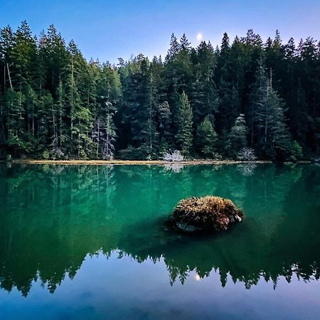 Mendocino Redwood Retreat - Vista Home Albion Εξωτερικό φωτογραφία
