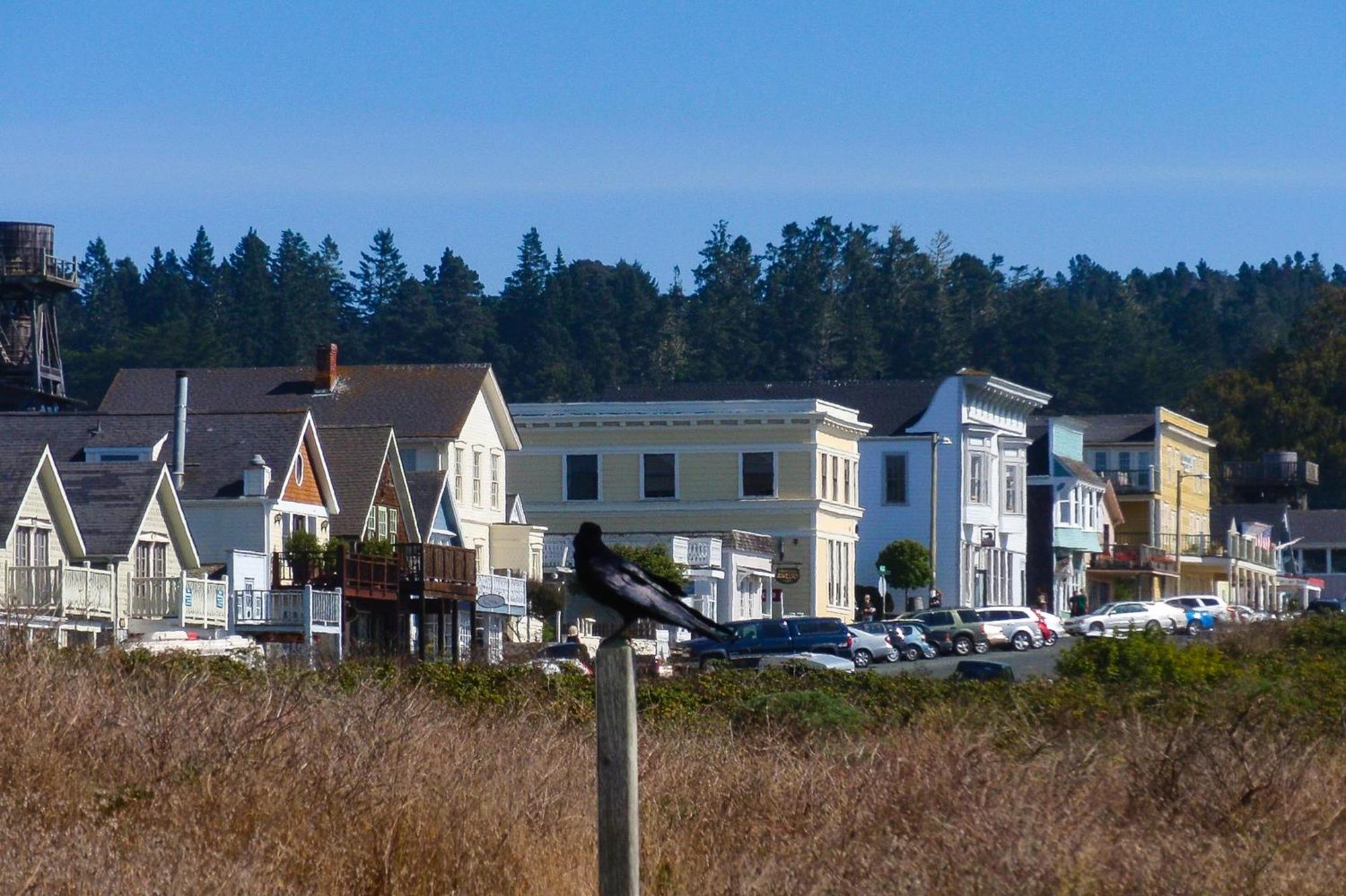 Mendocino Redwood Retreat - Vista Home Albion Εξωτερικό φωτογραφία