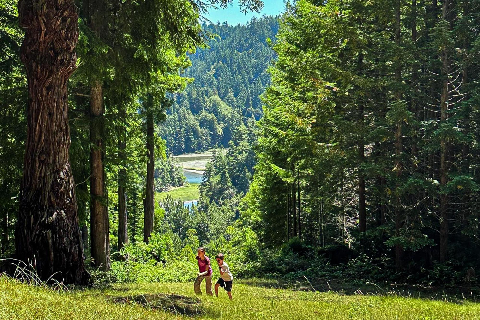 Mendocino Redwood Retreat - Vista Home Albion Εξωτερικό φωτογραφία