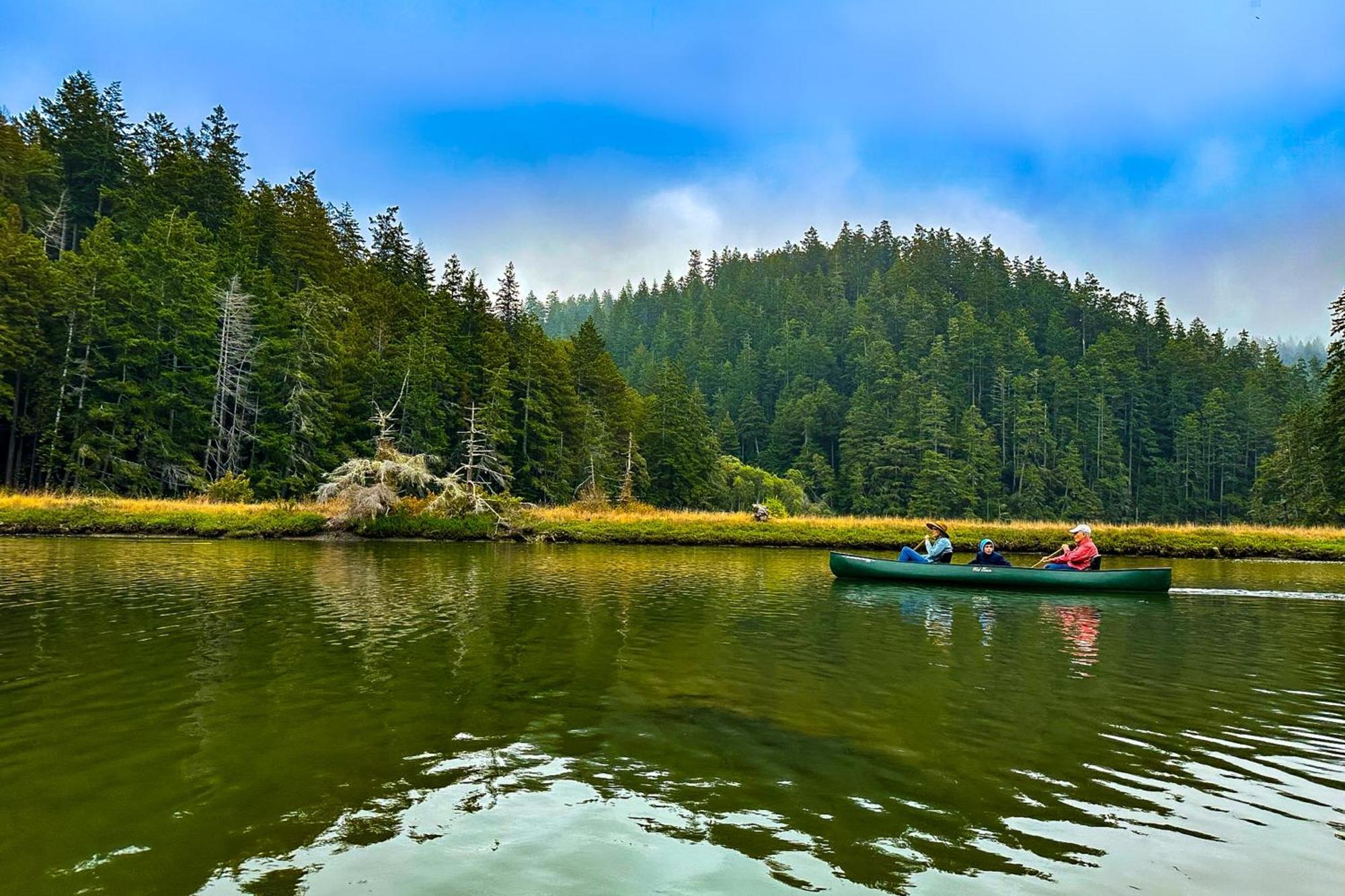 Mendocino Redwood Retreat - Vista Home Albion Εξωτερικό φωτογραφία